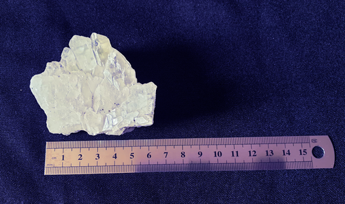 Cristal de Quartz Naturel des Alpes Suisses - Spécimen Unique